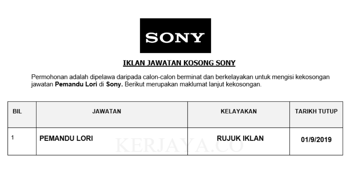Sony_ Pemandu